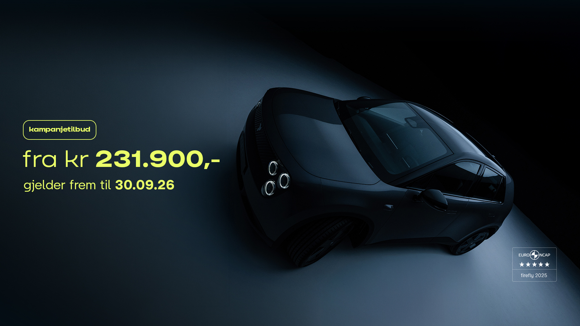 liten. elektrisk. full av energi. - firefly
