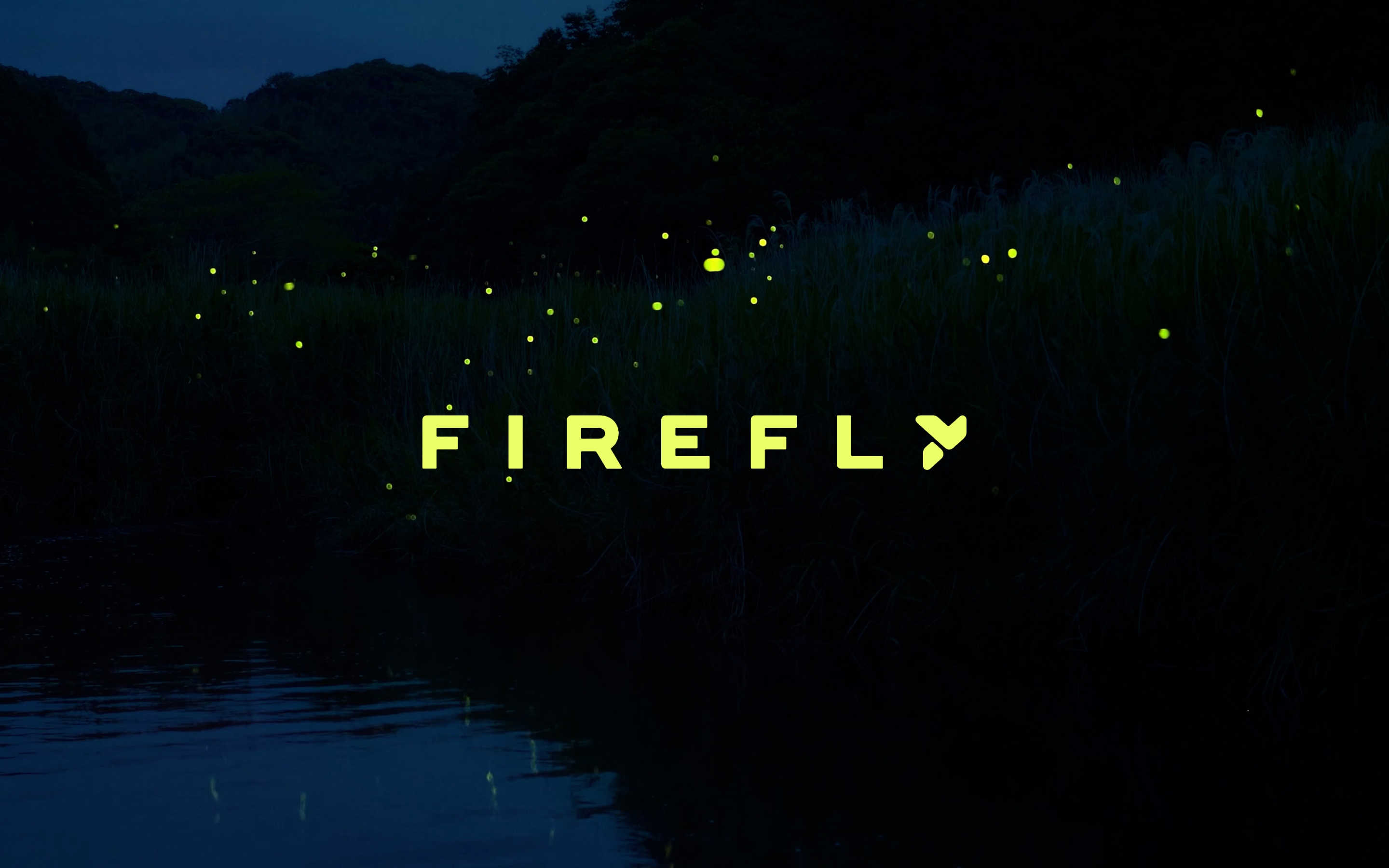 small. electric. buzzing with energy._firefly official website